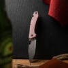 GiantMouse ACE Grand Micarta Red -KNIFE LOUNGE Sales img 1984
