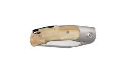 Viper Turn Ram Horn -KNIFE LOUNGE Sales v5986mo turn gallery 04